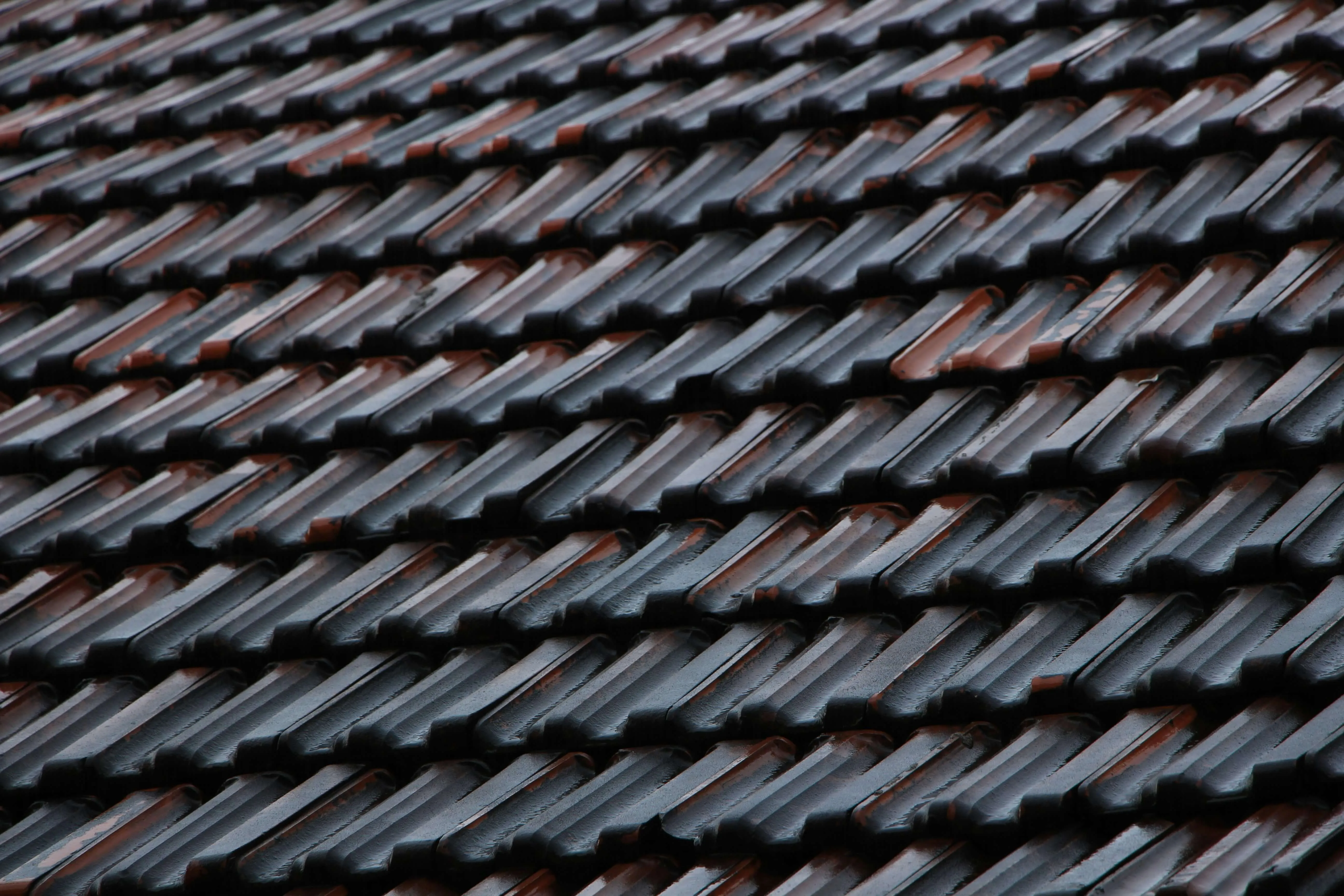 When Louisiana weather puts your property to the test, you need a roofing solution that won't back down.